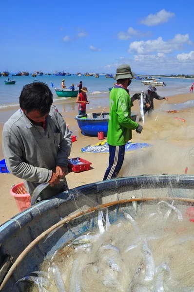 Lagi, Vietnam - February 26, 2012: Local fishermen are removing fishes from their fishing nets in the Lagi beach — Stock Photo, Image