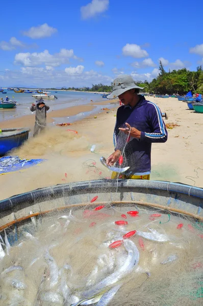 Lagi, Vietnam - February 26, 2012: Local fishermen are removing fishes from their fishing nets in the Lagi beach — Stock Photo, Image