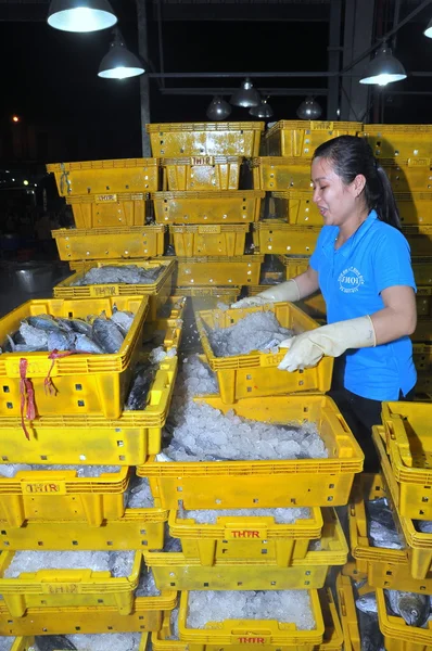 Ho chi minh city, Vietnam - 28. November 2013: Eine Arbeiterin zählt ihre Fischbestände auf dem nächtlichen Fischgroßmarkt binh dien, dem größten in ho chi minh city, Vietnam — Stockfoto