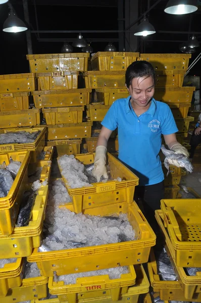 Ho Chi Minh City, Vietnam - 28 de noviembre de 2013: Una trabajadora está contando sus pesquerías en el mercado de mariscos nocturno al por mayor Binh Dien, el más grande de la ciudad de Ho Chi Minh, Vietnam — Foto de Stock