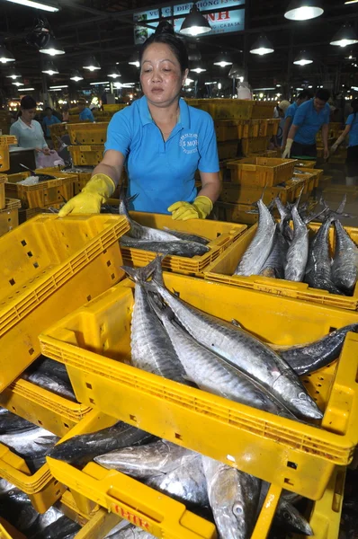 Ho Chi Minh-staden, Vietnam - November 28, 2013: En kvinna anställd räknar sitt fiske på Binh Dien grossist skaldjur nattmarknaden, den största en i Ho Chi Minh city, Vietnam — Stockfoto