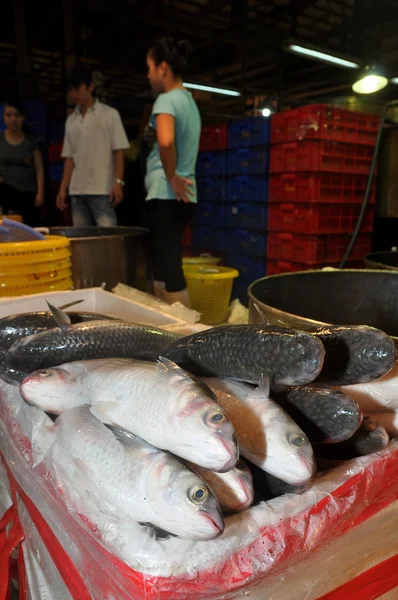 Ho či Minovo Město, Vietnam - 28. listopadu 2013: Spousta rybolovu v nádržích se čeká na nákup na Binh Dien Velkoobchod rybí trh, největší z nich v Ho Či Minovo Město, Vietnam — Stock fotografie