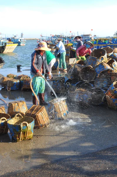 Lagi, Vietnam - February 26, 2012: Local women are cleaning their baskets which were used for transporting fishes from the boat to the truck — Stock Photo, Image
