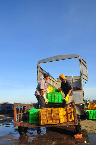 Lagi, Vietnã - 26 de fevereiro de 2012: Trabalhadores estão carregando peixes forrageiros no caminhão para a fábrica de rações no porto de Lagi — Fotografia de Stock