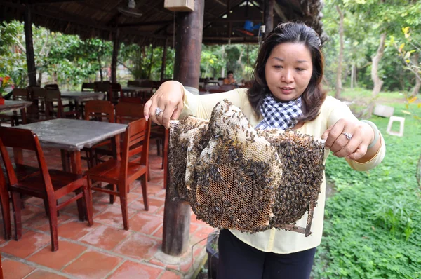 Ben Tre, Vietnam - 1 januari 2014: En kvinna visar sin biodlare fack från sin gård i Ben Tre city. — Stockfoto