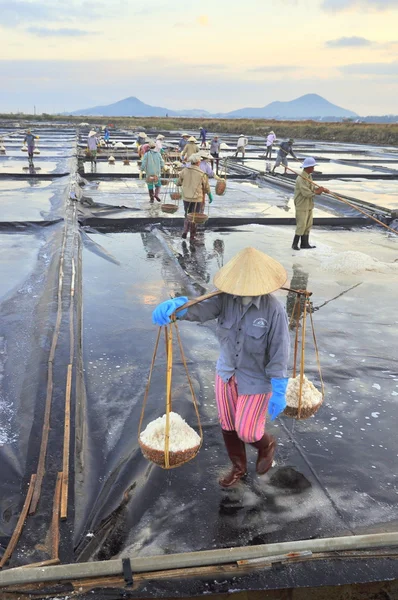 Ninh Hoa, Vietnam - March 2, 2012: Vietnamese women are burdening hard to collect salt from the extract fields to the storage fields — Stock Photo, Image