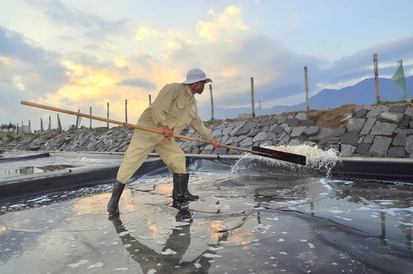 Ninh Hoa, Vietnam - March 2, 2012: A worker is slapping water out of the salt extracting field in the early morning — Stock Photo, Image