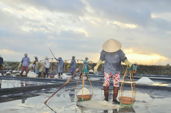 Ninh Hoa, Vietnã - 2 de março de 2012: Mulheres vietnamitas estão sobrecarregando duro para coletar sal dos campos de extração para os campos de armazenamento — Fotografia de Stock