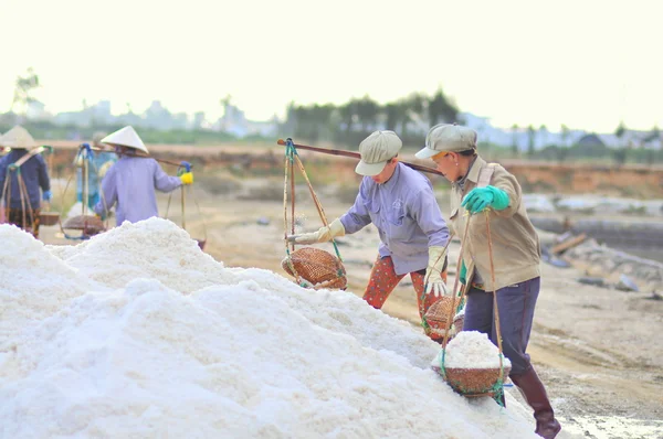 Ninh hoa, Vietnam - 2. März 2012: Vietnamesische Frauen tun sich schwer, Salz von den Gewinnungsfeldern zu den Speicherfeldern zu sammeln — Stockfoto