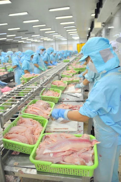 Can Tho, Vietnam - 1 Juli 2011: Pekerja yang mengisinya ikan lele pangasius di sebuah pabrik makanan laut di delta Mekong Vietnam — Stok Foto