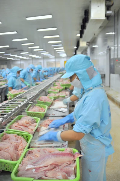 Can tho, Vietnam - 1 Temmuz 2011: İşçi pangasius yayın balığı Vietnam Mekong Deltası'nda deniz ürünleri fabrikasında filleting