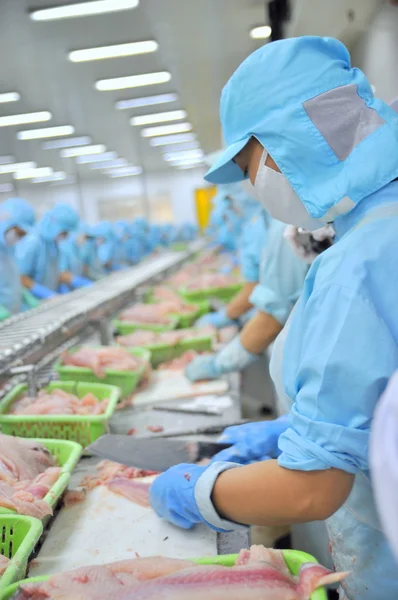 Can Tho, Vietnam - 1 luglio 2011: I lavoratori stanno filettando pesce gatto pangasio in una fabbrica di frutti di mare nel delta del Mekong del Vietnam — Foto Stock