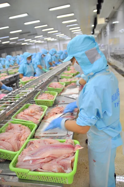Can Tho, Vietnam - 1 luglio 2011: I lavoratori stanno filettando pesce gatto pangasio in una fabbrica di frutti di mare nel delta del Mekong del Vietnam — Foto Stock