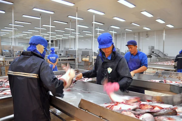 Can tho, Vietnam - 1. Juli 2011: Arbeiter töten Pangasiuswelse, bevor sie in einer Fischfabrik im Mekong-Delta von Vietnam zur nächsten Verarbeitungslinie gebracht werden. — Stockfoto