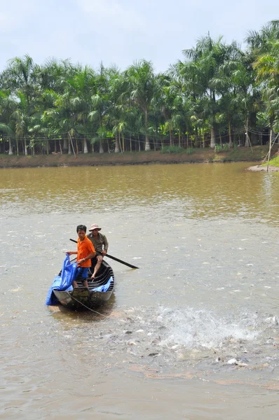 Can Tho, Vietnam - 1 juli 2011: Jordbrukarna är utfodring pangsius havskatt i deras damm i Mekongdeltat i Vietnam — Stockfoto