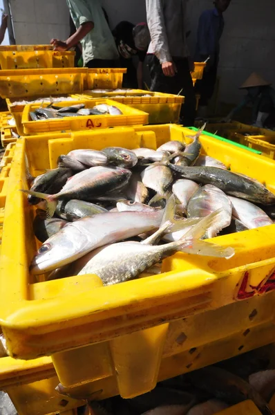 Kien Giang, Vietnam - 13 mars 2014: Fiskar sätts i korgar som väntar för lastning på lastbilar till en lokala skaldjur fabrik i Cai Tac docka i Vietnam — Stockfoto