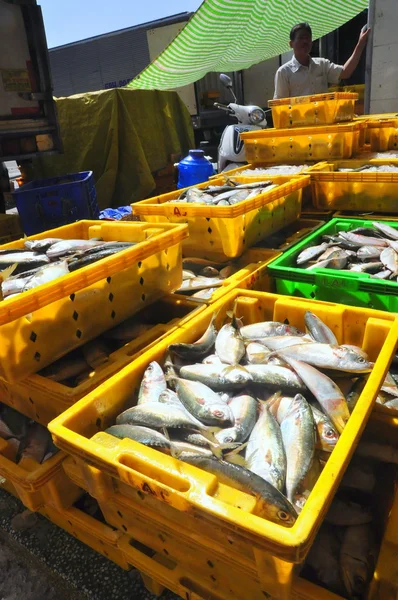 Kien Giang, Vietnam - 13 de marzo de 2014: Los peces se ponen en cestas esperando para cargar en camiones a una fábrica local de mariscos en el muelle de Cai Tac en Vietnam —  Fotos de Stock