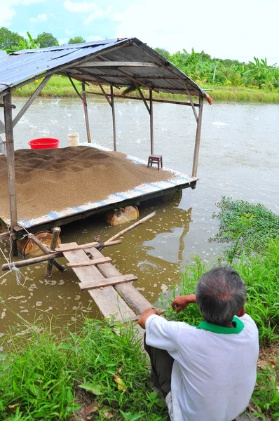 An Giang, Vietnam - August 25, 2011: A farmer is sad looking at his pangsius catfish farm in the mekong delta of Vietnam — Stockfoto