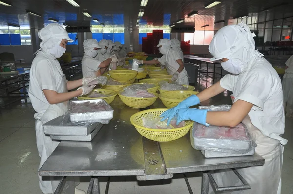 Nha Trang, Vietnam - 5 marzo 2012: I lavoratori stanno selezionando il filetto di pangasio da mettere alla macchina congelatrice in una fabbrica di frutti di mare in Vietnam — Foto Stock