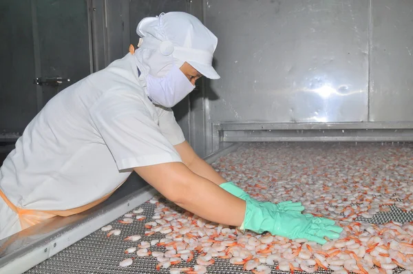 Να Τρανγκ, Βιετνάμ - Μάρτιος 5, 2012: Εργαζόμενοι τακτοποίηση γαρίδες σε μια γραμμή για την κατάψυξη μηχανή σε ένα εργοστάσιο θαλασσινά στο Βιετνάμ — Φωτογραφία Αρχείου