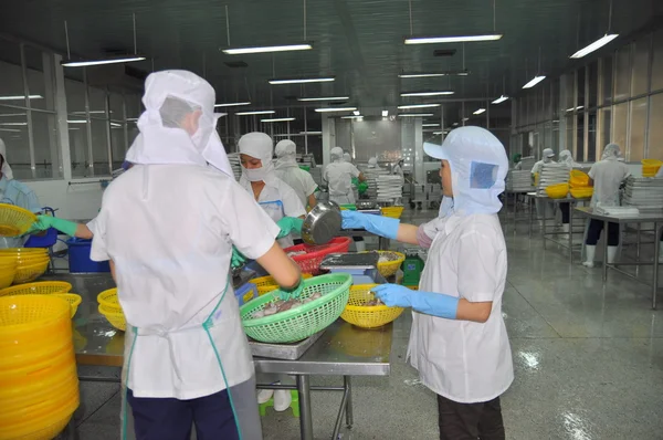 Nha Trang, Vietnam - 5 marzo 2012: I lavoratori stanno selezionando polpo da mettere alla macchina congelatrice in una fabbrica di frutti di mare in Vietnam — Foto Stock