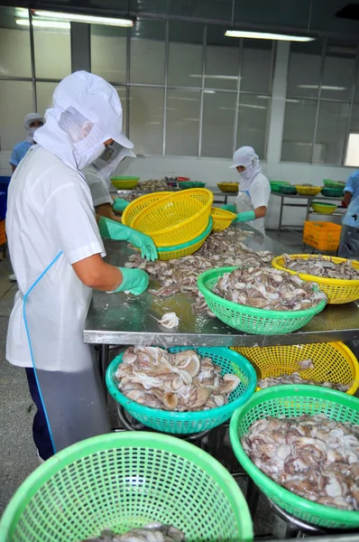 Vung Tau, Vietnam - September 28, 2011: A woman worker is classifying octopus for exporting in a seafood processing factory — Stock Photo, Image