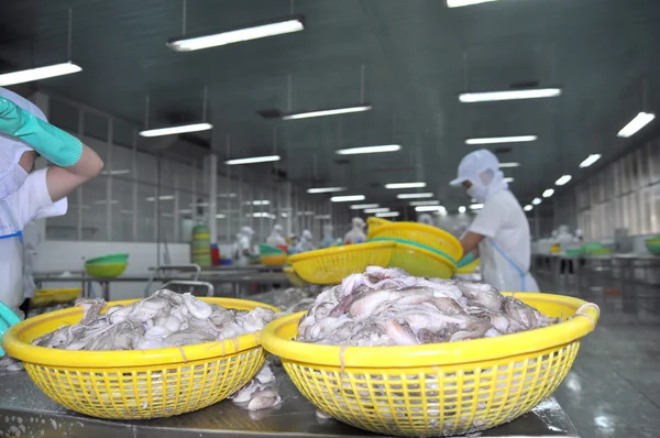 Vung Tau, Vietnam - 28 de septiembre de 2011: Los trabajadores están clasificando el pulpo fresco crudo para transferirlo al siguiente paso de la línea de procesamiento en una fábrica de mariscos en Vietnam — Foto de Stock