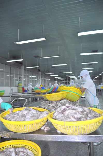 Vung Tau, Vietnam - 28 settembre 2011: I lavoratori classificano il polpo fresco grezzo per passare alla fase successiva della linea di lavorazione in una fabbrica di frutti di mare in Vietnam — Foto Stock