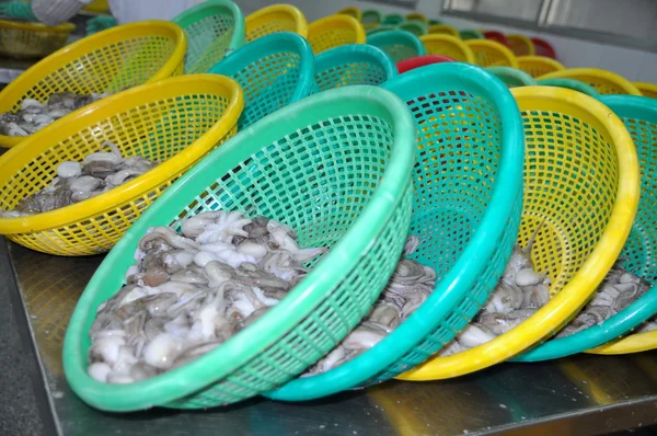 Vung Tau, Vietnam - 28 September 2011: Rå färsk bläckfisk i korgar som väntar på att överföras till nästa steg i bearbetning linje i en skaldjur fabrik i Vietnam — Stockfoto