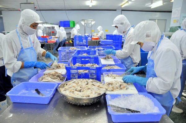 Ho Chi Minh city, Vietnam - October 3, 2011: Workers are cutting raw fresh octopus in a seafood factory in Ho Chi Minh city, Vietnam — 스톡 사진