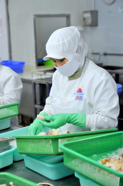 Ciudad Ho Chi Minh, Vietnam - 3 de octubre de 2011: Los trabajadores están cortando pulpo fresco crudo en una fábrica de mariscos en la ciudad de Ho Chi Minh, Vietnam — Foto de Stock