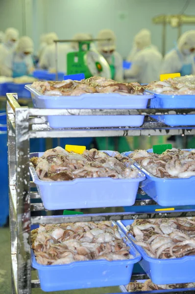 Ciudad Ho Chi Minh, Vietnam - 3 de octubre de 2011: La materia prima del pulpo está siendo lavada y preparada para su procesamiento en una fábrica de mariscos en Vietnam — Foto de Stock