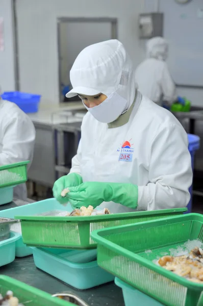 Ho či Minovo Město, Vietnam - 3. října 2011: zaměstnanci jsou řezání syrové čerstvé chobotnice v rybí továrně v Ho Či Minovo Město, Vietnam — Stock fotografie