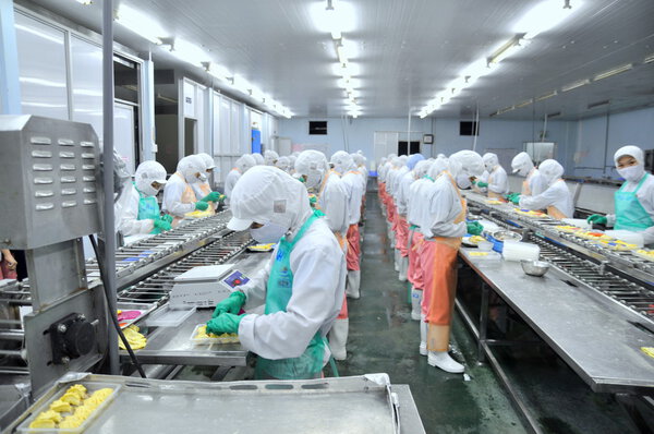 Ho Chi Minh city, Vietnam - October 3, 2011: Workers are working hard on a production line in a seafood factory in Ho Chi Minh city, Vietnam