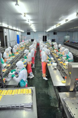 Ho Chi Minh city, Vietnam - October 3, 2011: Workers are working hard on a production line in a seafood factory in Ho Chi Minh city, Vietnam clipart