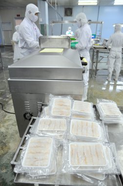 Ho Chi Minh city, Vietnam - October 3, 2011: Seafood finished products are prepared for vacuum packaging in a seafood factory in Vietnam