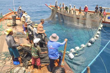 Nha Trang, Vietnam - 5 Mayıs 2012: Balıkçılar ton balığı, deniz Nha Trang Vietnam'da defne için trol