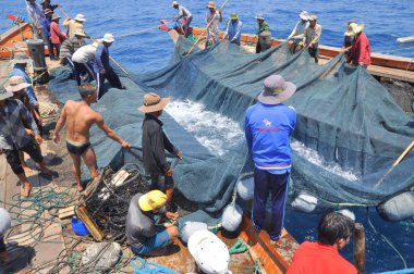 Nha Trang, Vietnam - 5 Mayıs 2012: Balıkçılar ton balığı, deniz Nha Trang Vietnam'da defne için trol