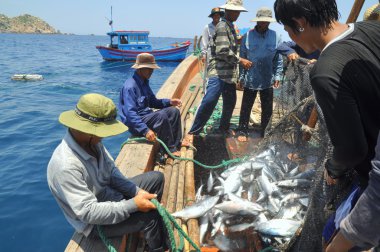 Nha Trang, Vietnam - 5 Mayıs 2012: Balıkçı orkinos sürütme ağları Nha Trang defne deniz tarafından yakalanan balık topluyorlar