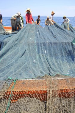 Nha Trang, Vietnam - 5 Mayıs 2012: Balıkçılar ton balığı, deniz Nha Trang Vietnam'da defne için trol