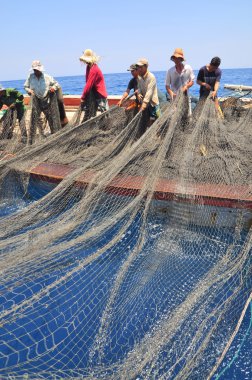 Nha Trang, Vietnam - 5 Mayıs 2012: Balıkçılar ton balığı, deniz Nha Trang Vietnam'da defne için trol