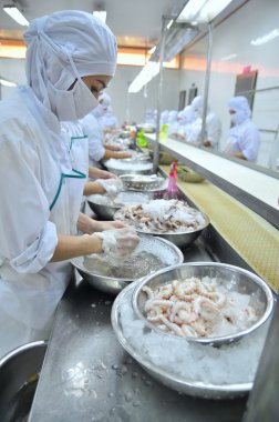Vung Tau, Vietnam - 9 Aralık 2014: İşçiler bir deniz ürünleri işleme fabrikasında dışa aktarmak için ahtapot.... .ayakkabının önemli olduğu