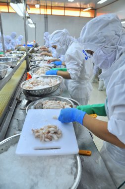 Vung Tau, Vietnam - 9 Aralık 2014: İşçilerin kesme ahtapot bir deniz ürünleri işleme fabrikasında dışa aktarmak için gerekli