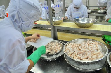 Vung Tau, Vietnam - 9 Aralık 2014: İşçilerin kesme ahtapot bir deniz ürünleri işleme fabrikasında dışa aktarmak için gerekli