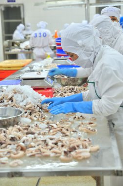 Vung Tau, Vietnam - 9 Aralık 2014: İşçiler bir deniz ürünleri işleme fabrikasında dışa aktarmak için ahtapot.... .ayakkabının önemli olduğu