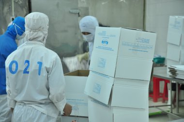 Vung Tau, Vietnam - 9 Aralık 2014: İşçi ambalaj içinde bir deniz ürünleri fabrikası Vietnam verme ürünüdür