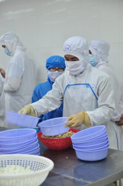Vung Tau, Vietnam - 9 Aralık 2014: İşçiler bir deniz ürünleri işleme fabrikasında dışa aktarmak için ahtapot.... .ayakkabının önemli olduğu