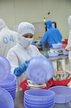Vung Tau, Vietnam - 9 Aralık 2014: İşçi ambalaj içinde bir deniz ürünleri fabrikası Vietnam verme ürünüdür
