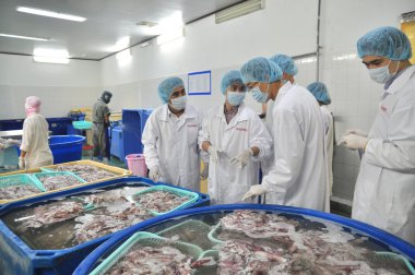 Phan Thiet, Vietnam - 11 Aralık 2014: Yabancı alıcılar visitting Vietnam Merkez deniz ürünleri fabrikasında çoğu
