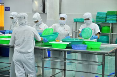 Phan Thiet, Vietnam - 11 Aralık 2014: İşçilerin kesme squids Vietnam bir deniz ürünleri fabrikasında dışa aktarmak için gerekli